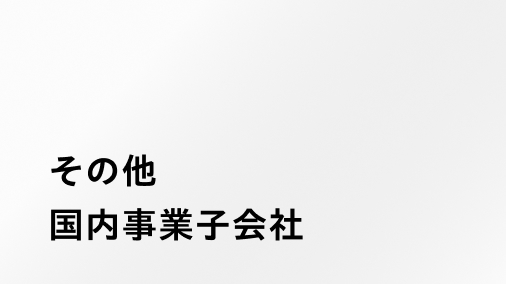 その他国内事業子会社