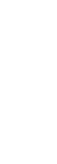 麺の味　噛むほどに満たされる、ほんのり甘い小麦の旨み。