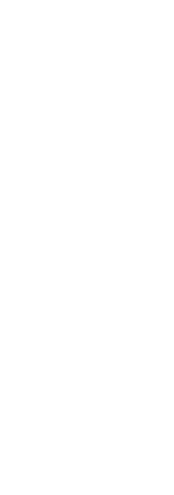 麺のコシ　柔らかな口当たりに、心地よい生きた食感。