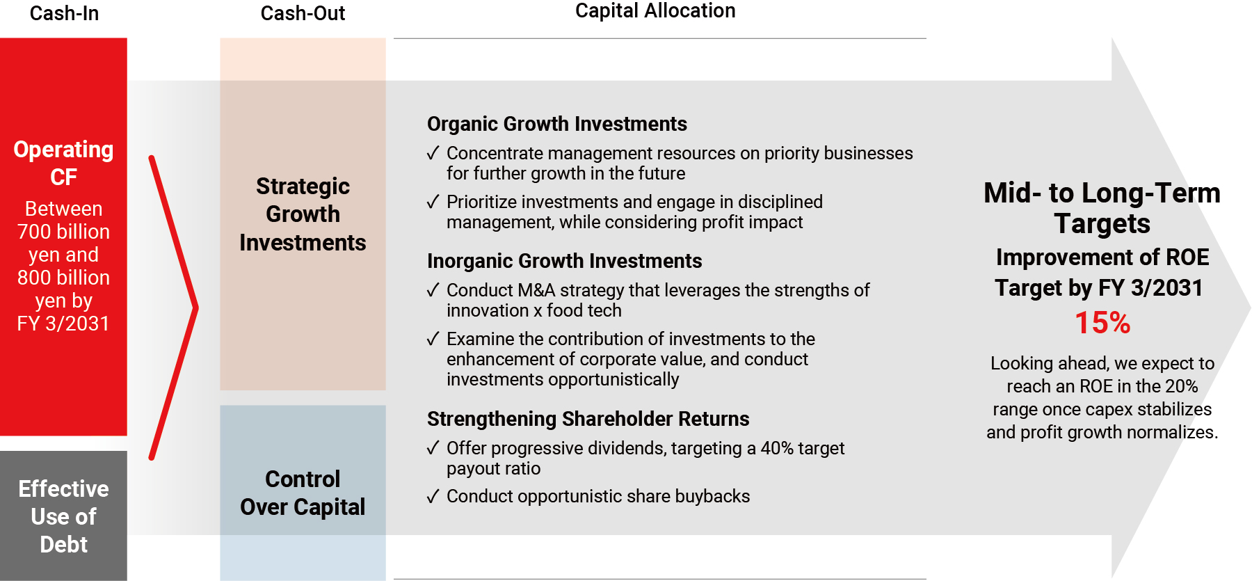 Approach to Capital Allocation for ROE Improvement